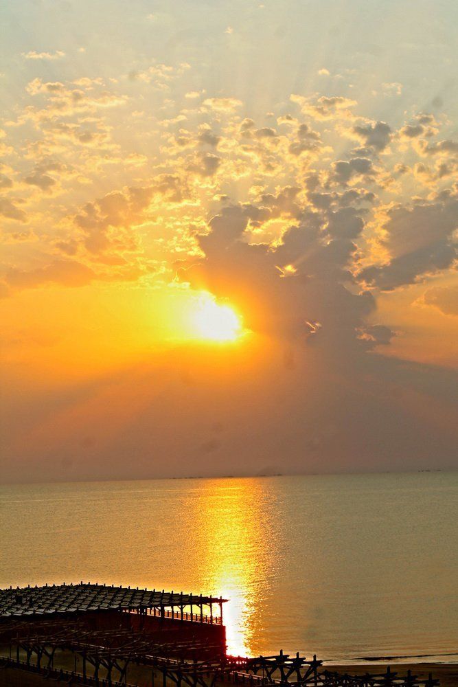 Фотография автора Vusale Zeynalova