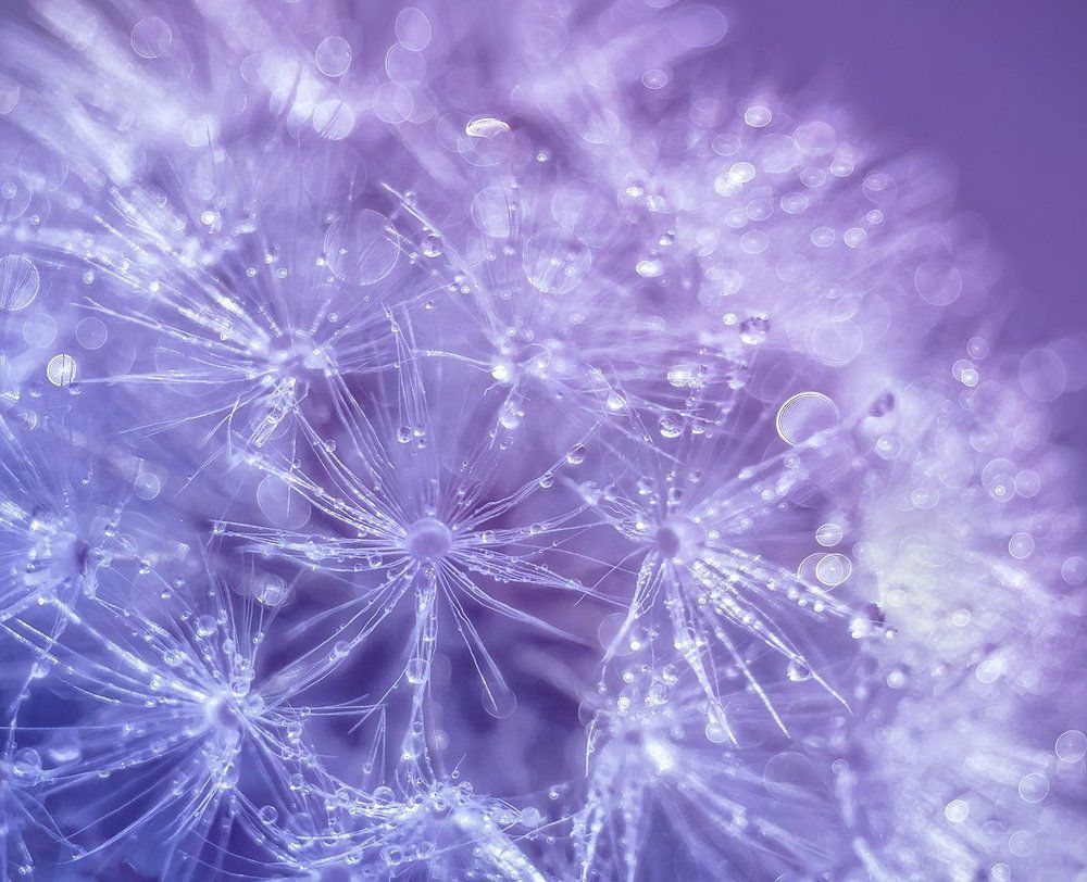 В капельках