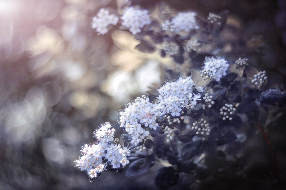 Холодное лето