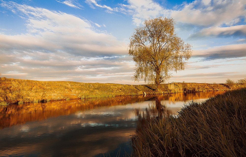 Одиночество у Кудьмы