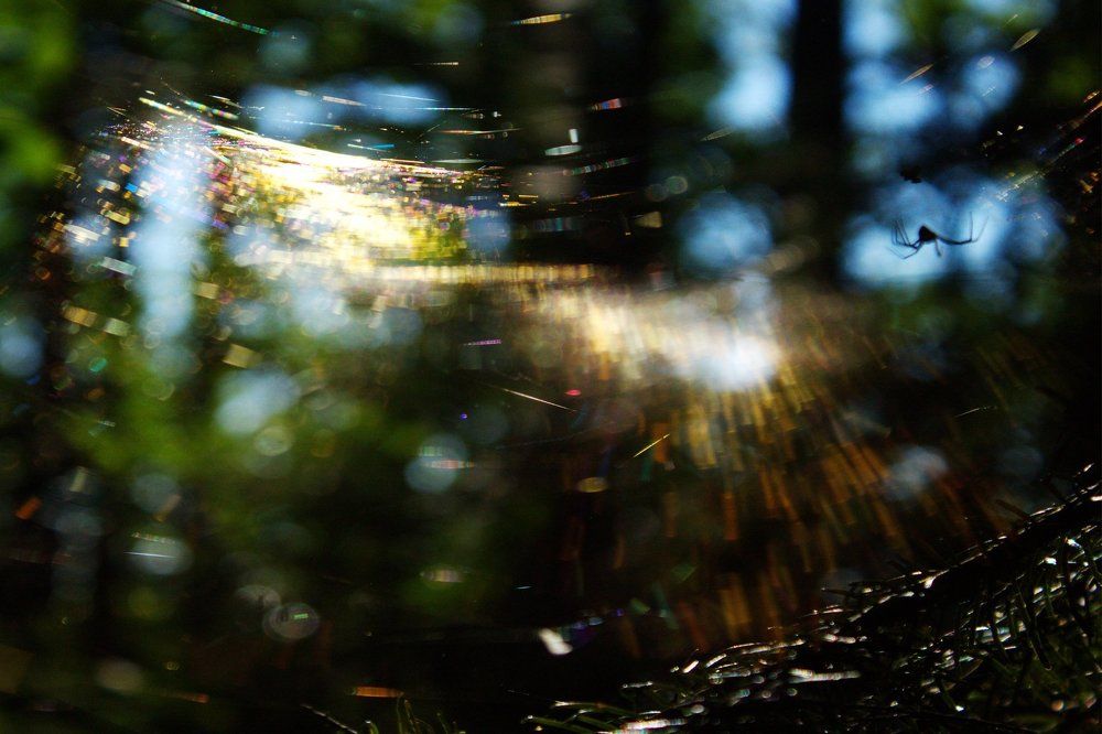 млечный путь