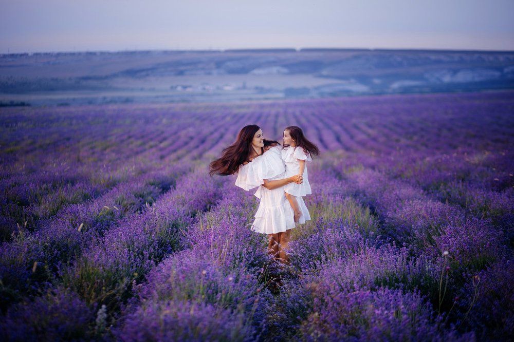 Лавандовые мечты