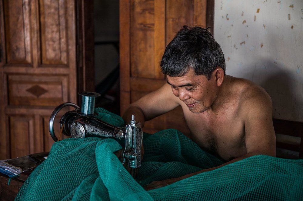 Photograph by Димтрий