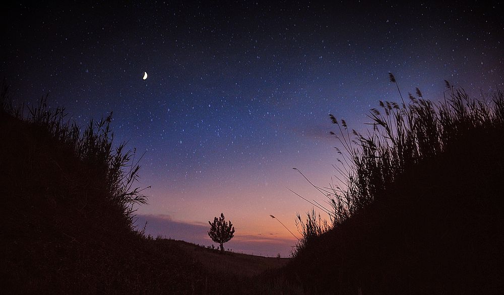 Photograph by Евгений Лемешкин