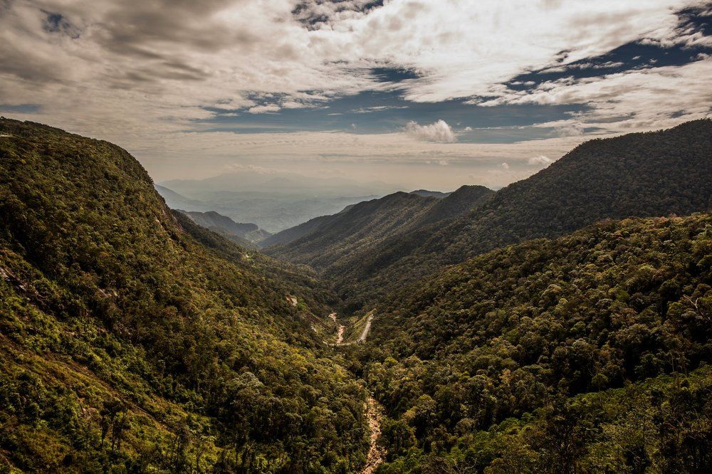 Photograph by Димтрий