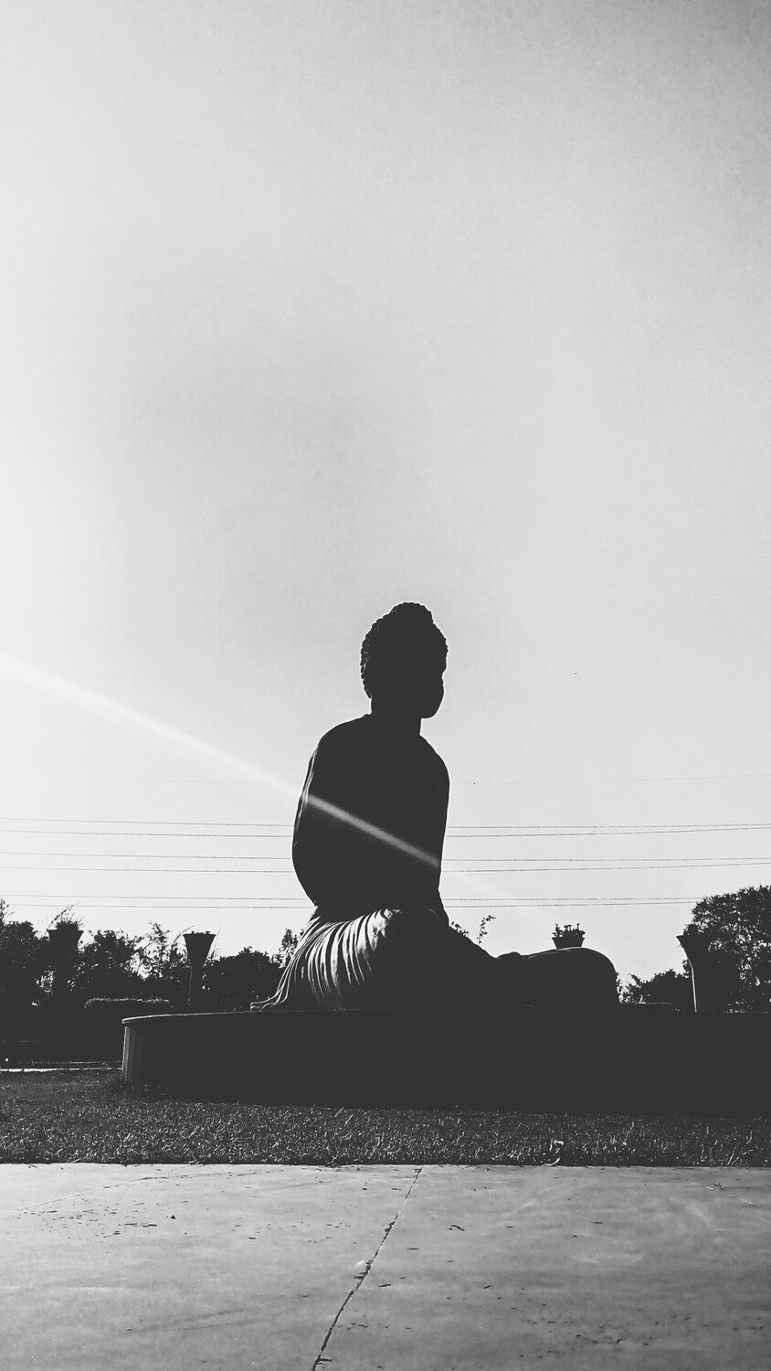 The garden of silence