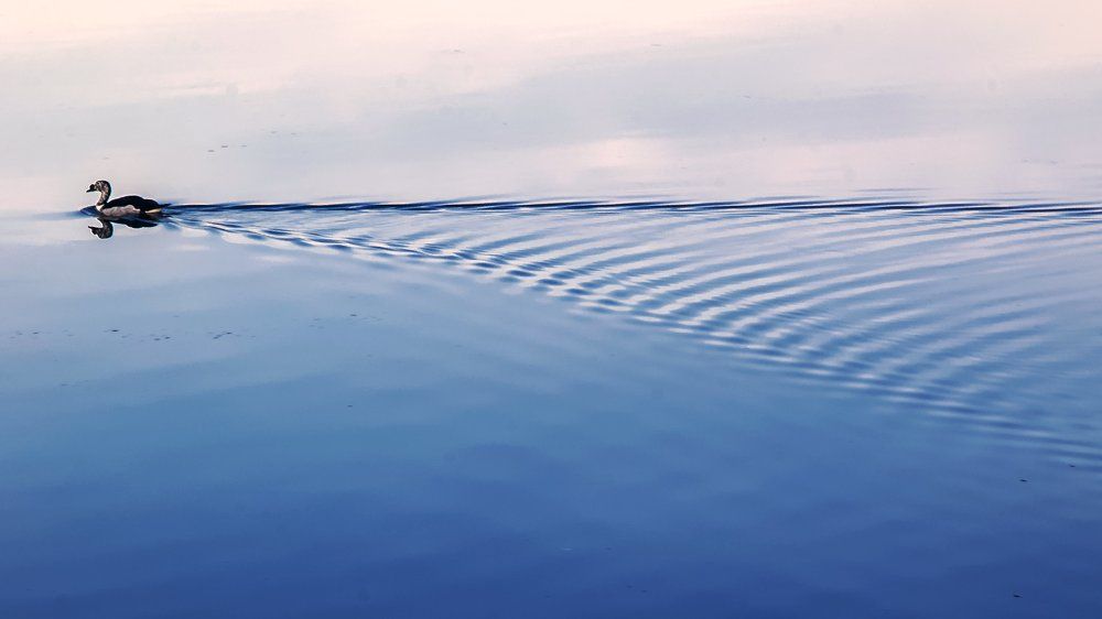 Horizon