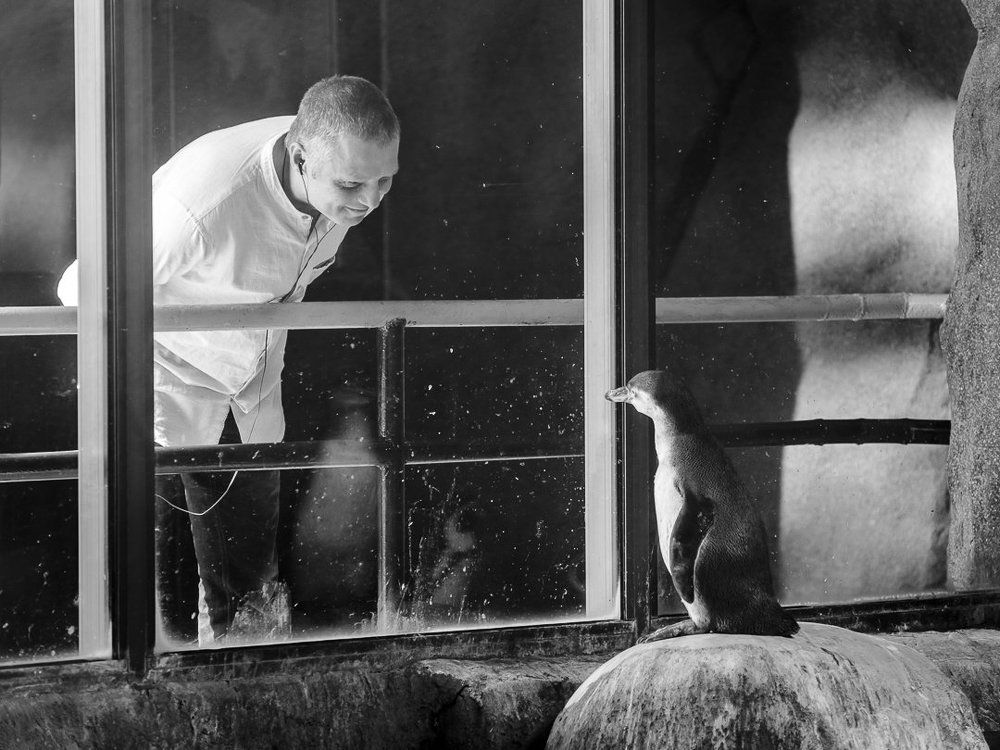 Глаза в глаза