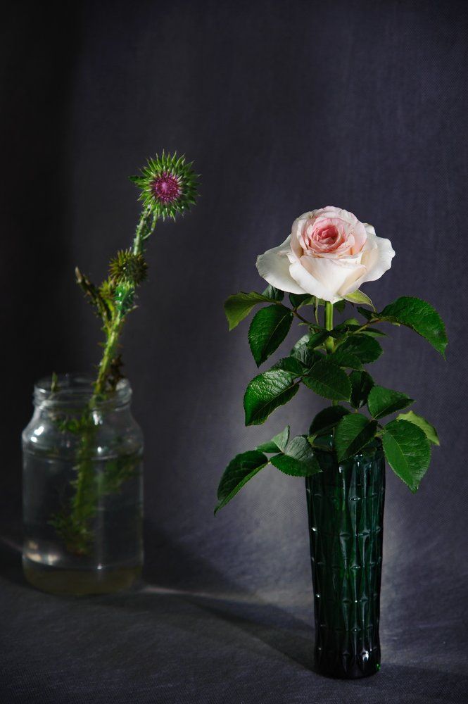 красавица и чудовище