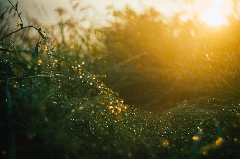 Солнце после дождя