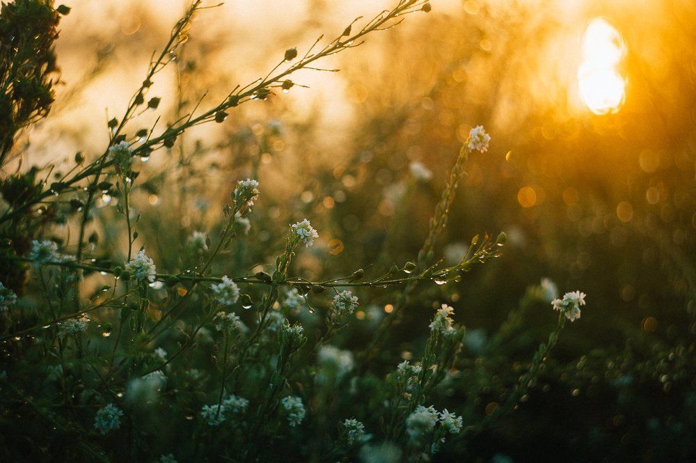 Солнце после дождя