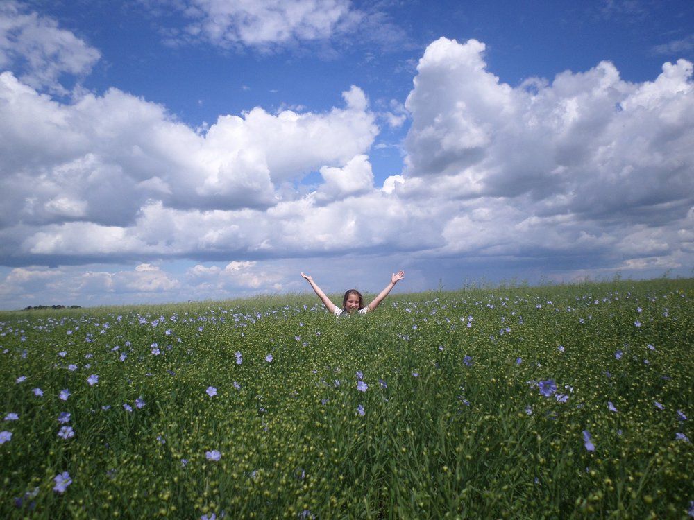 Photograph by Тарабрина Ирина