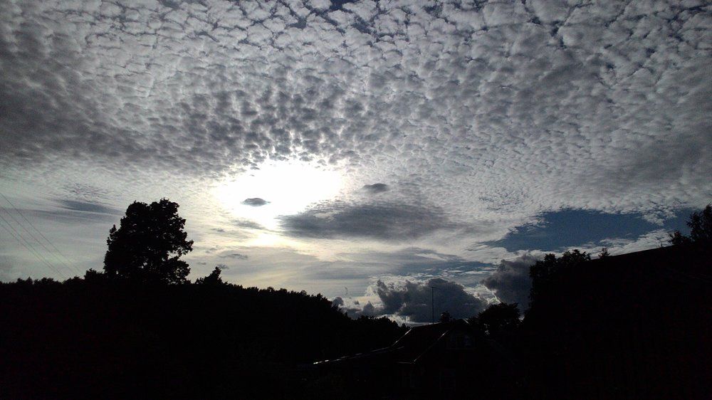 Августовский поздний вечер. Псковские дали.