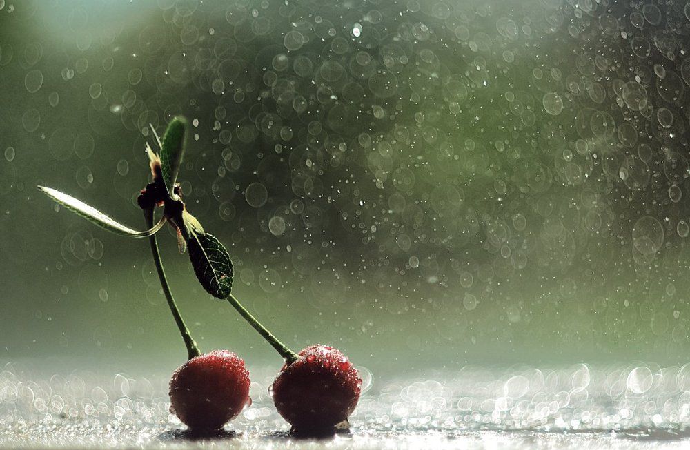 Вишневое настроение