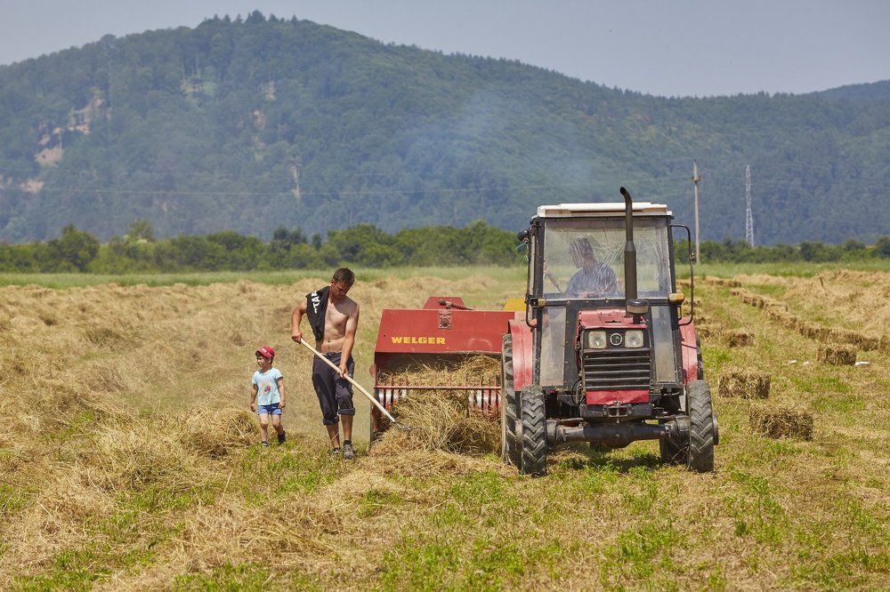 Маленький помощник