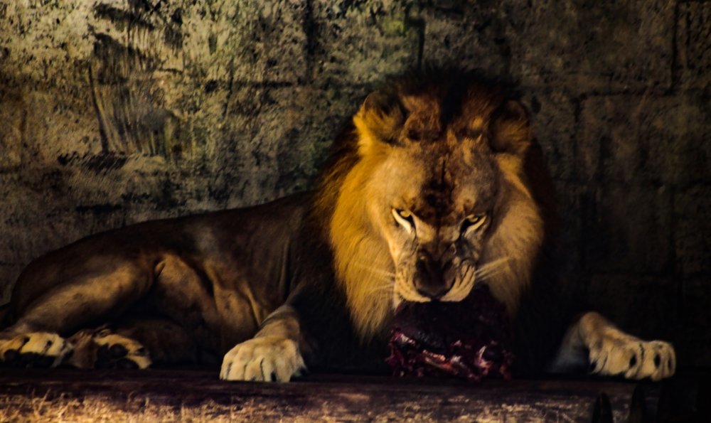 Get Your Own Breakfast