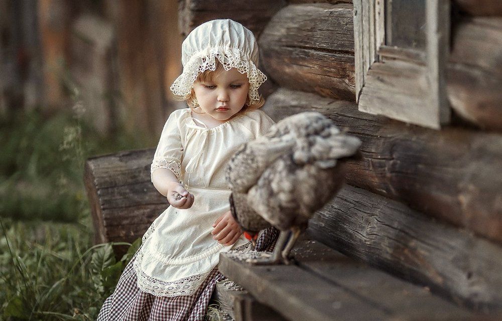 Деревенские зарисовки