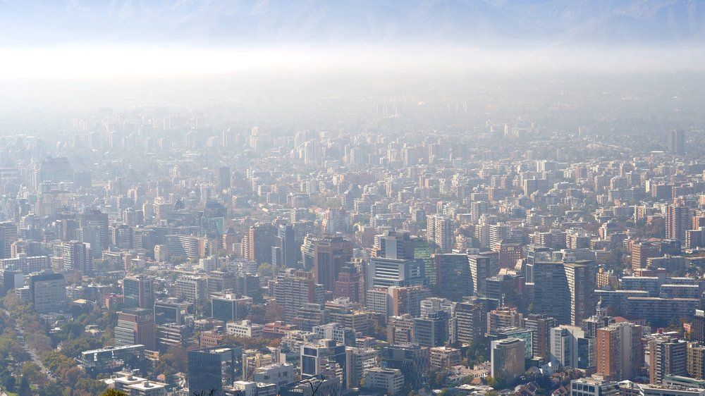 Чилийский муравейник