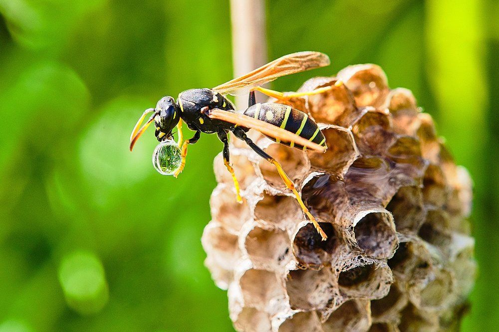 Photograph by Мальков Сергей