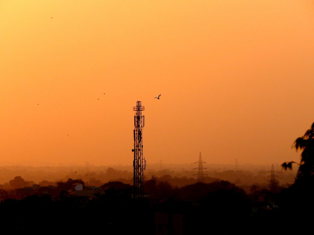 Orange Evening