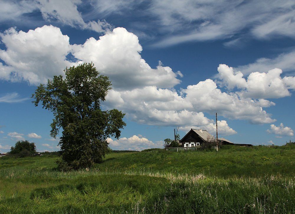 Вот и лето пришло