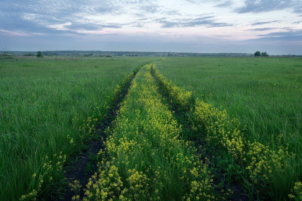 Цветочный путь