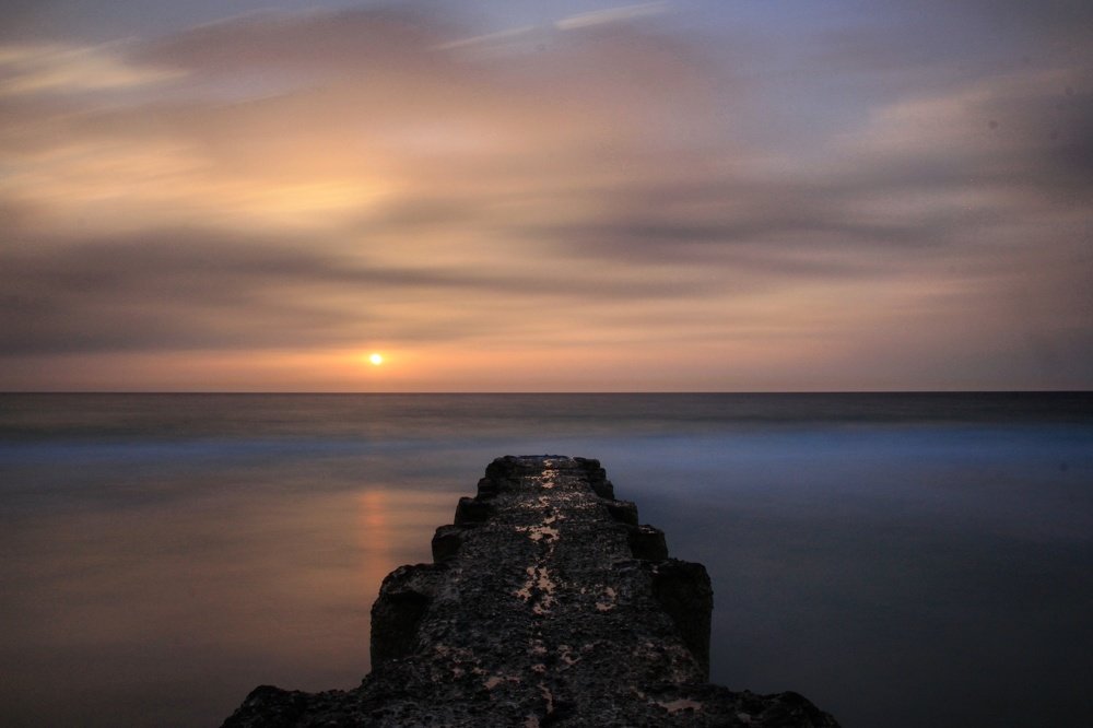 Искусство природы