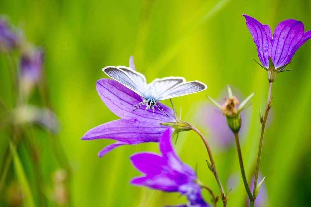 Photograph by Ivan Sergeev