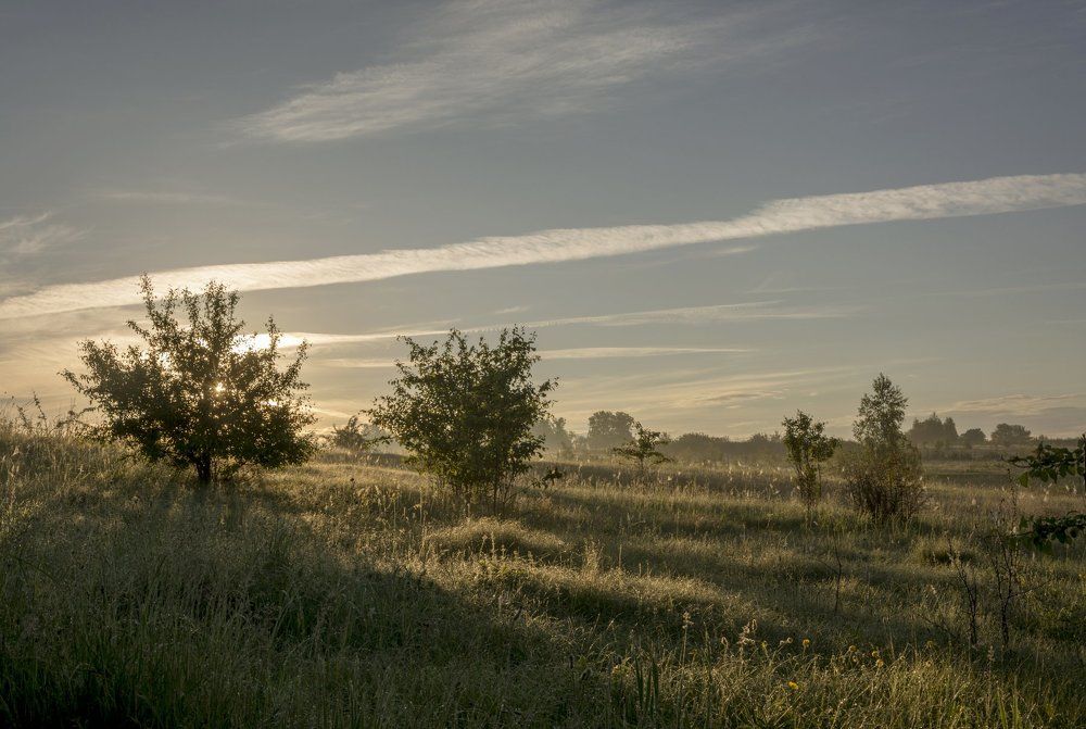 Рассвет.