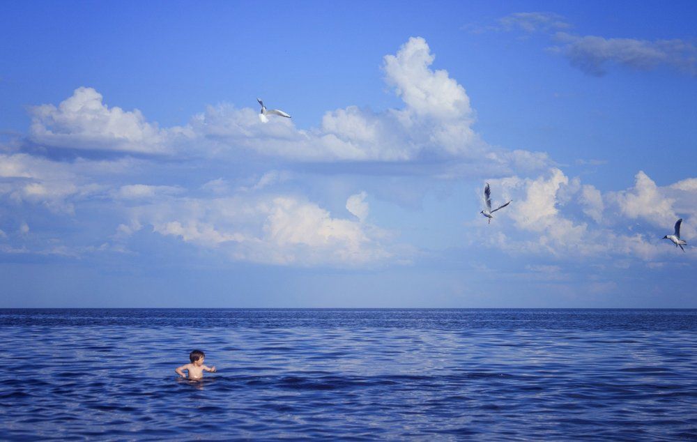 Мальчик и чайки