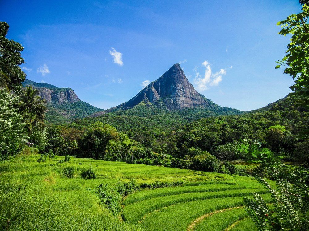 The Giant - Lakegala Sri Lanka