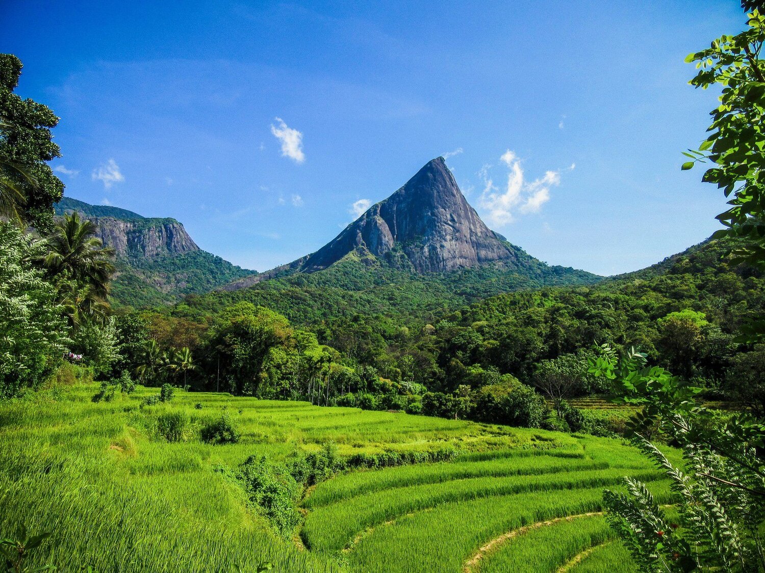 The Giant - Lakegala Sri Lanka