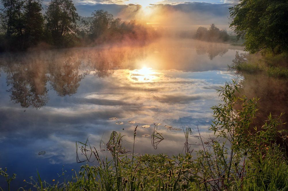 Круги на воде