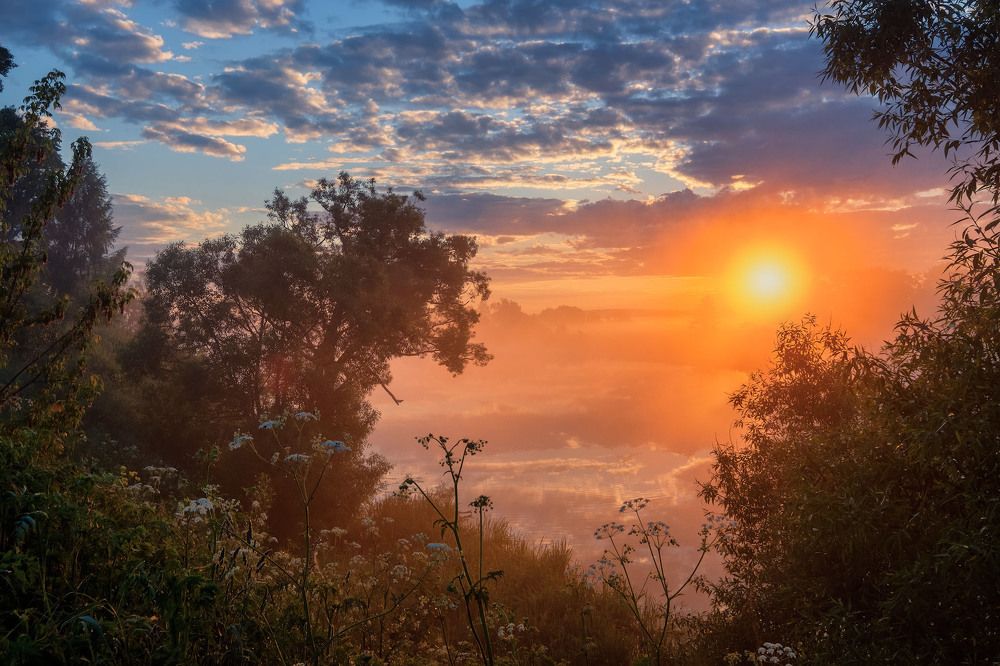 Туманная пастораль