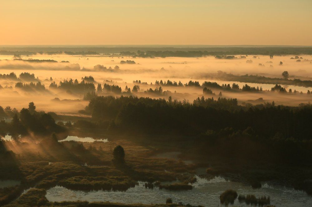 Утро туманное......