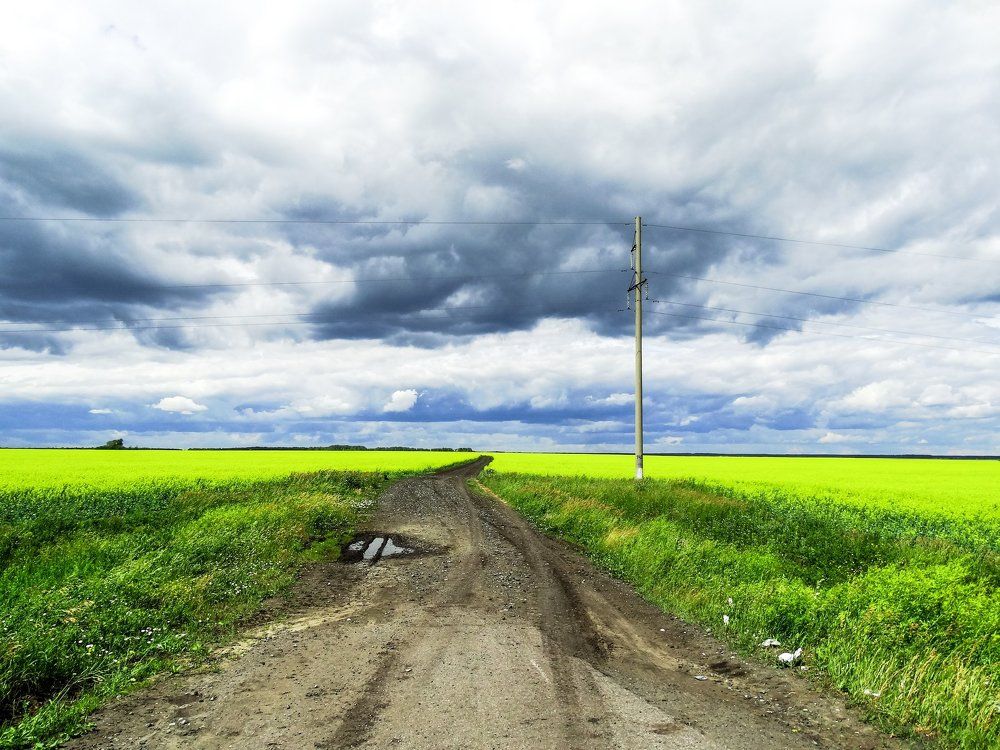 жёлтое море