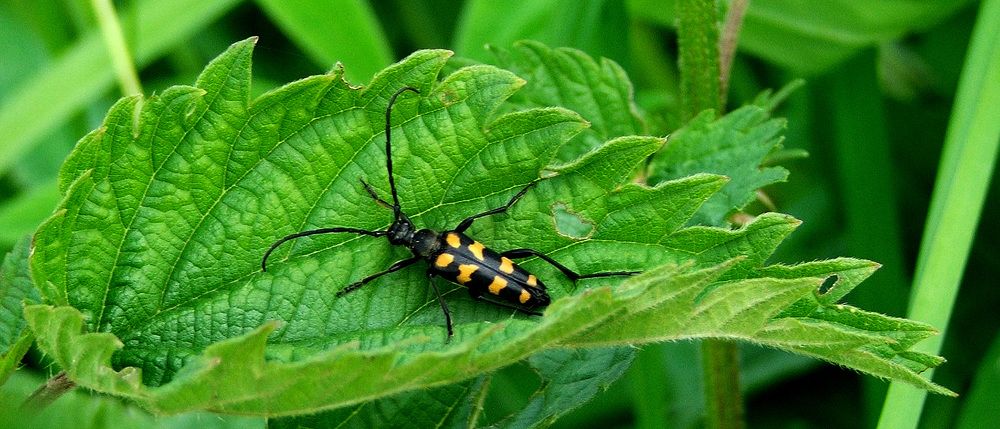 Фотография автора Владислава Андрюнина