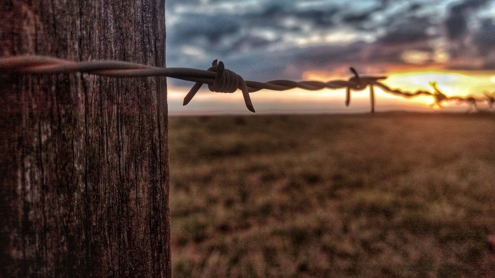 Sunset ? There is no fence for a sunset