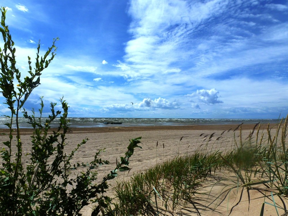 Чудское озеро