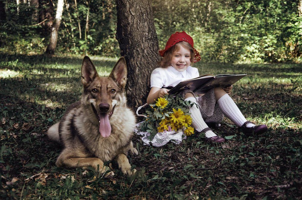 Лесные сказки