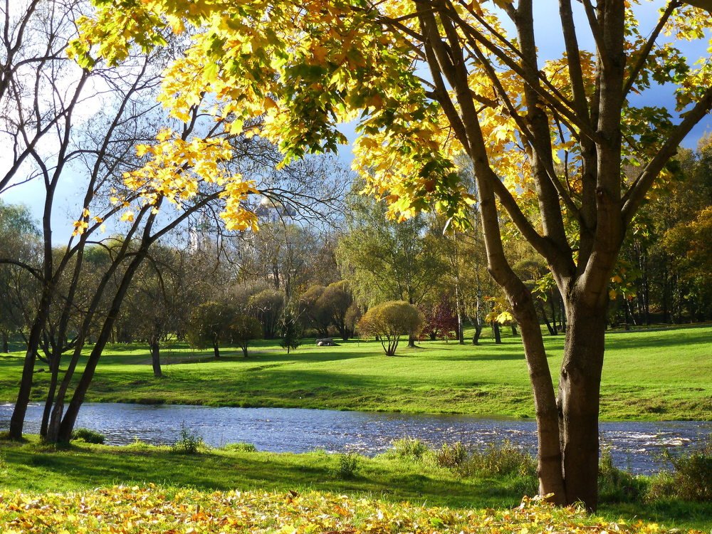 На реке Пскове