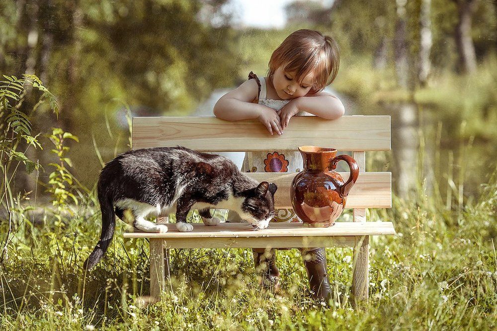 Деревенские зарисовки