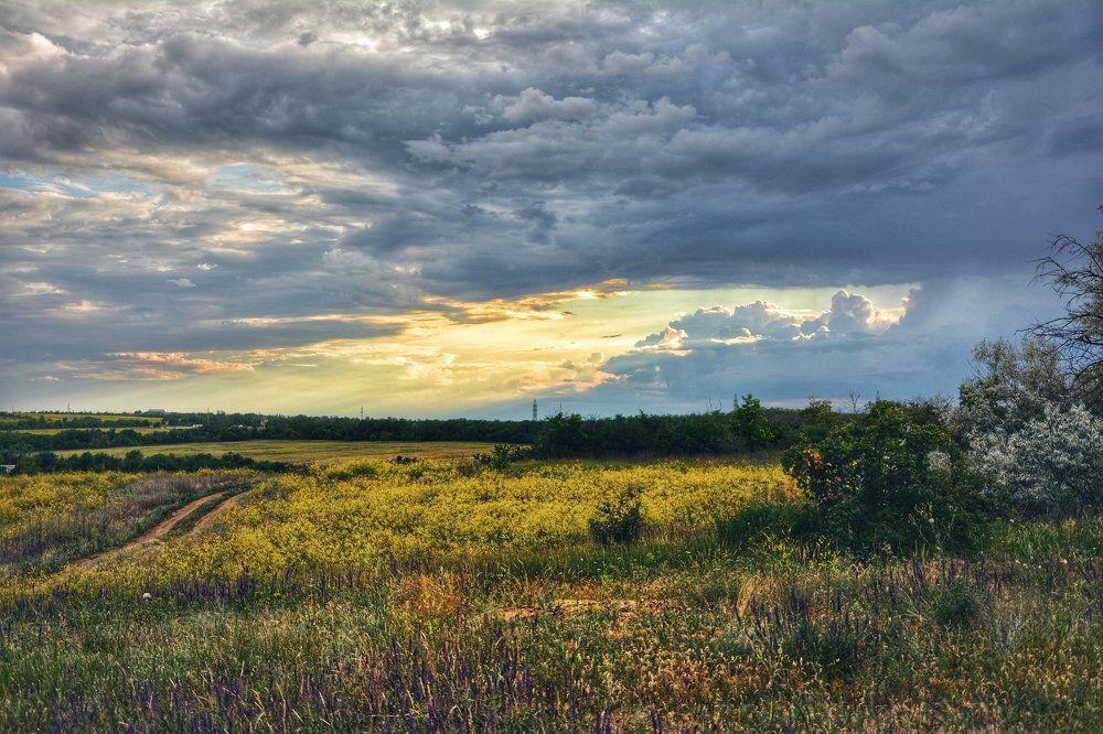 По полю к дождю.