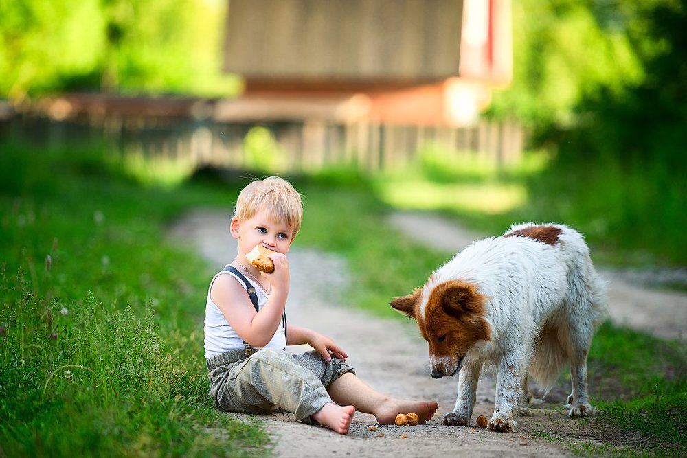 На каникулах у бабушки!