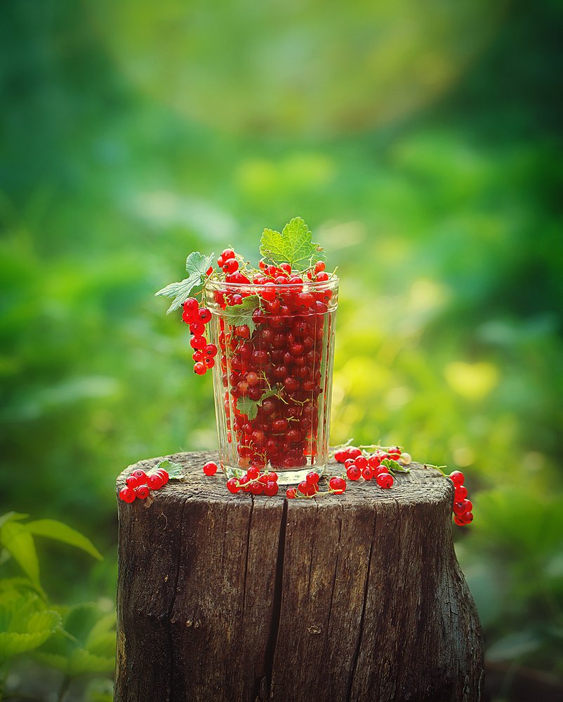 про...смородину