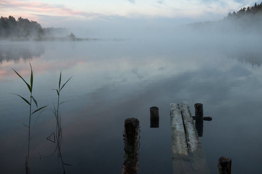 Невесомость
