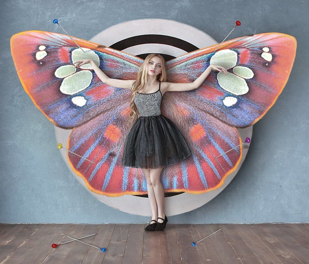 В коллекцию...