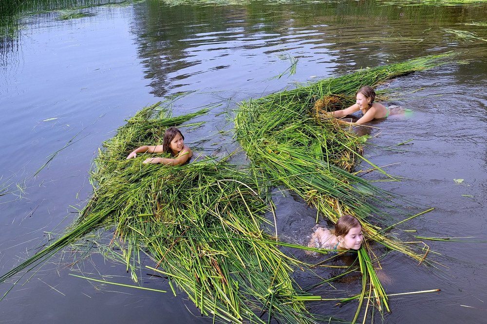 Летние развлечения