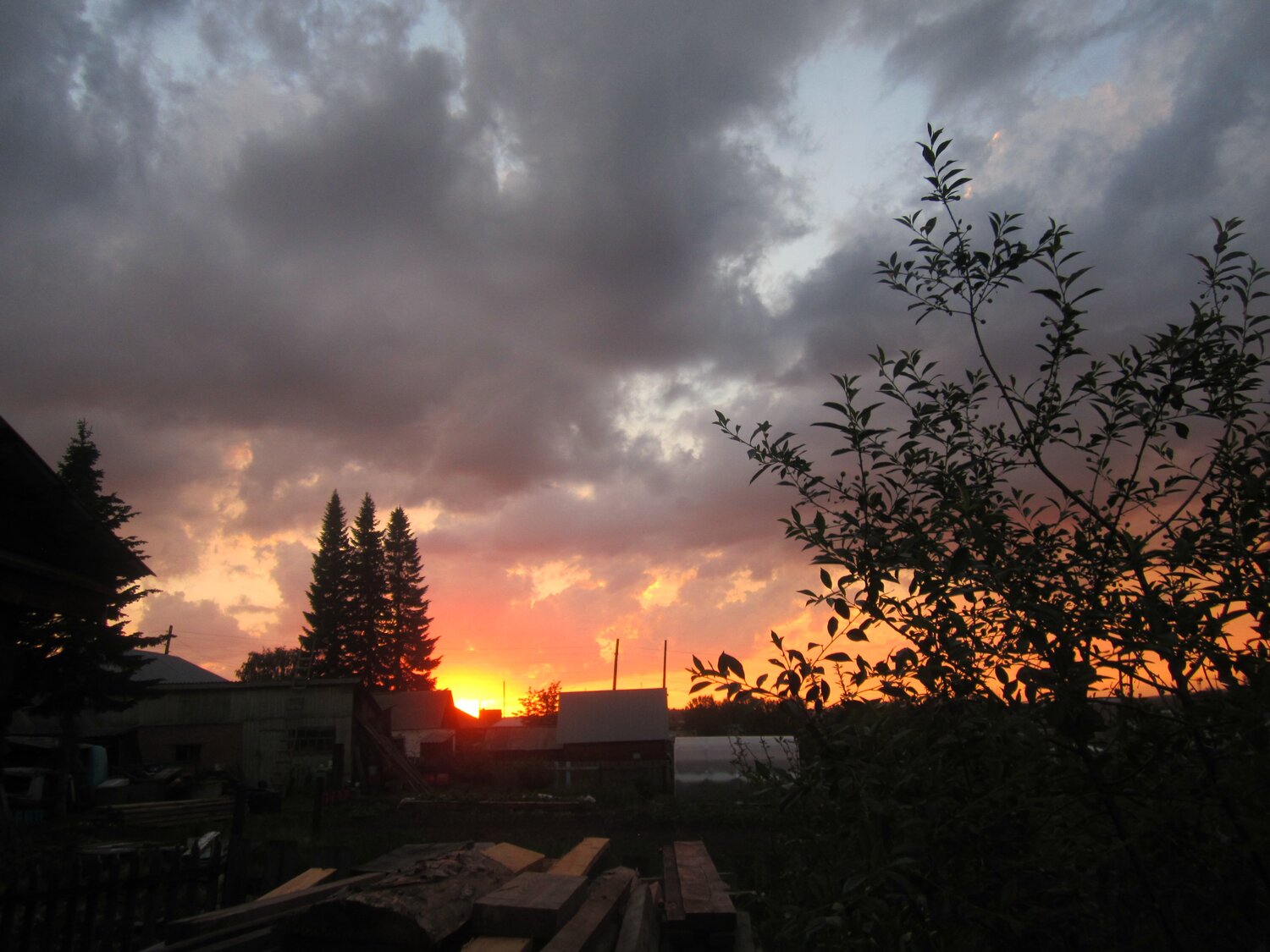 Photo #1847106