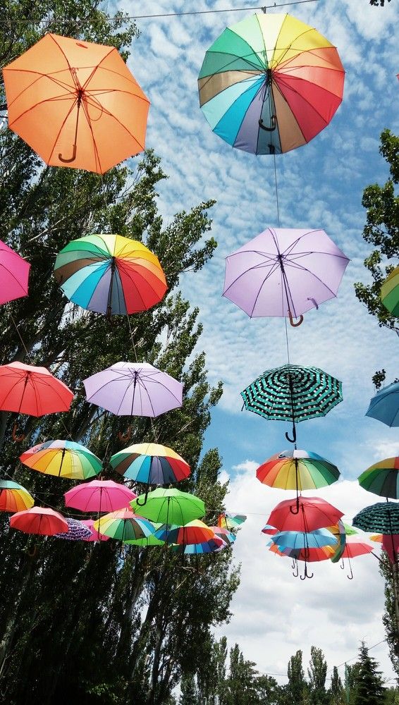 Фотография автора Александр Федоренко